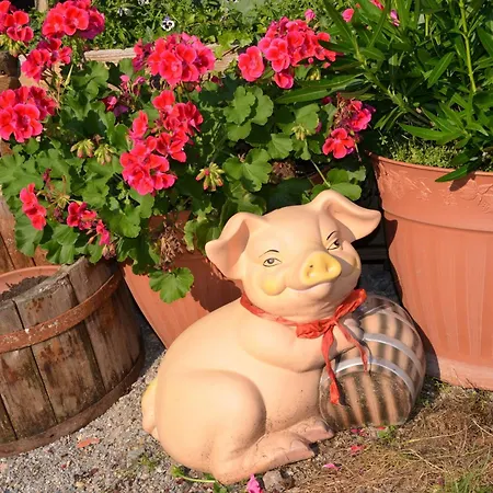Ferienhaeuser Schneeberger Holiday home