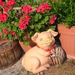 Ferienhaeuser Schneeberger Holiday home