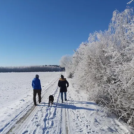 Ferienhaeuser Schneeberger *